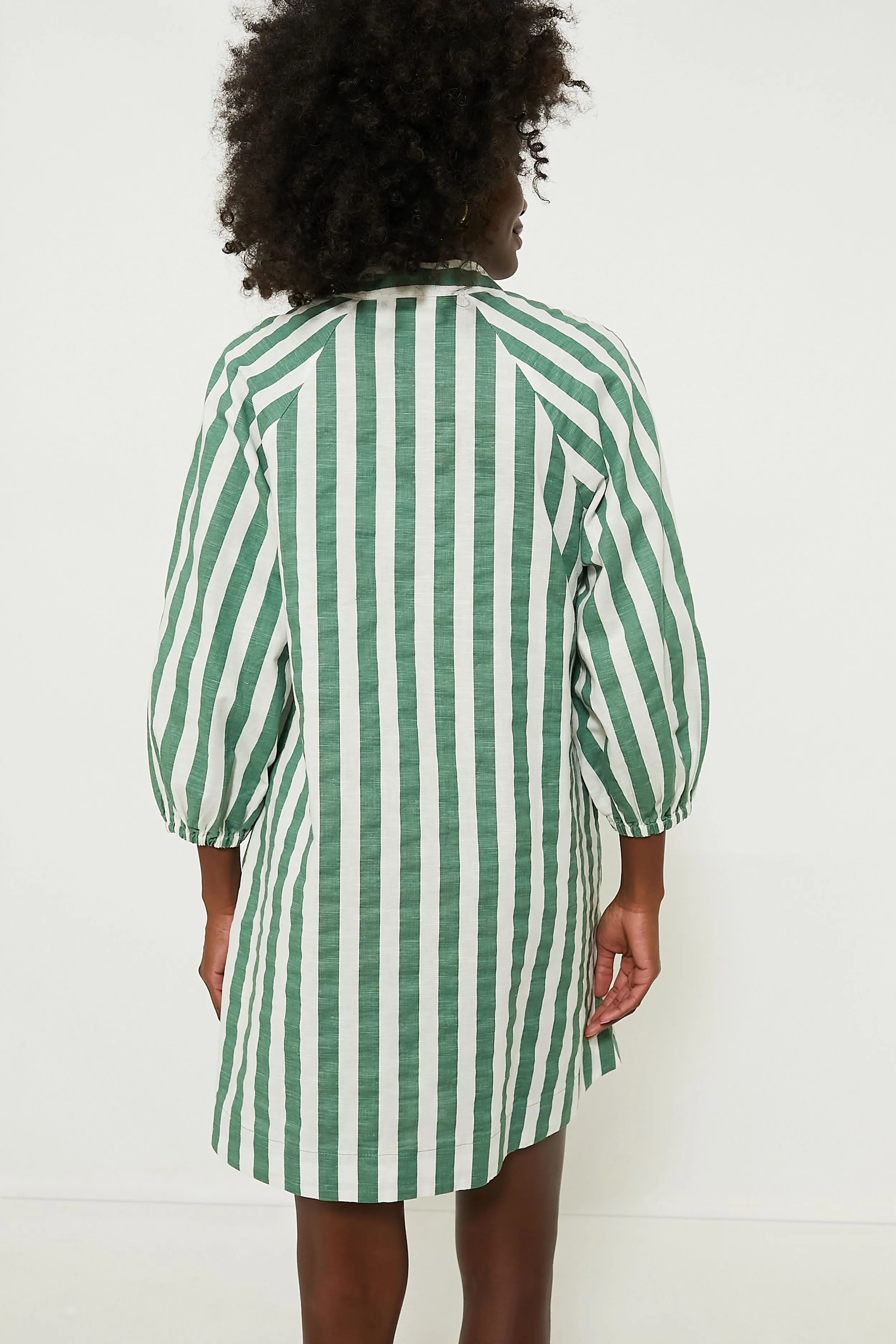 Green Stripe Maryse Mini Caftan